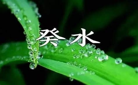 葵水命罕见吗|癸水命